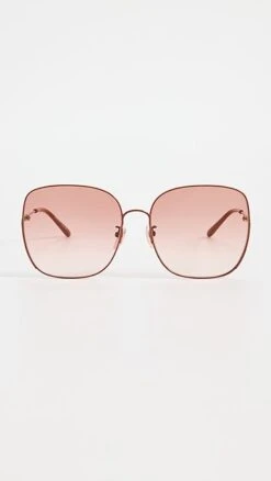 Chloé Chloe Elys Sunglasses
